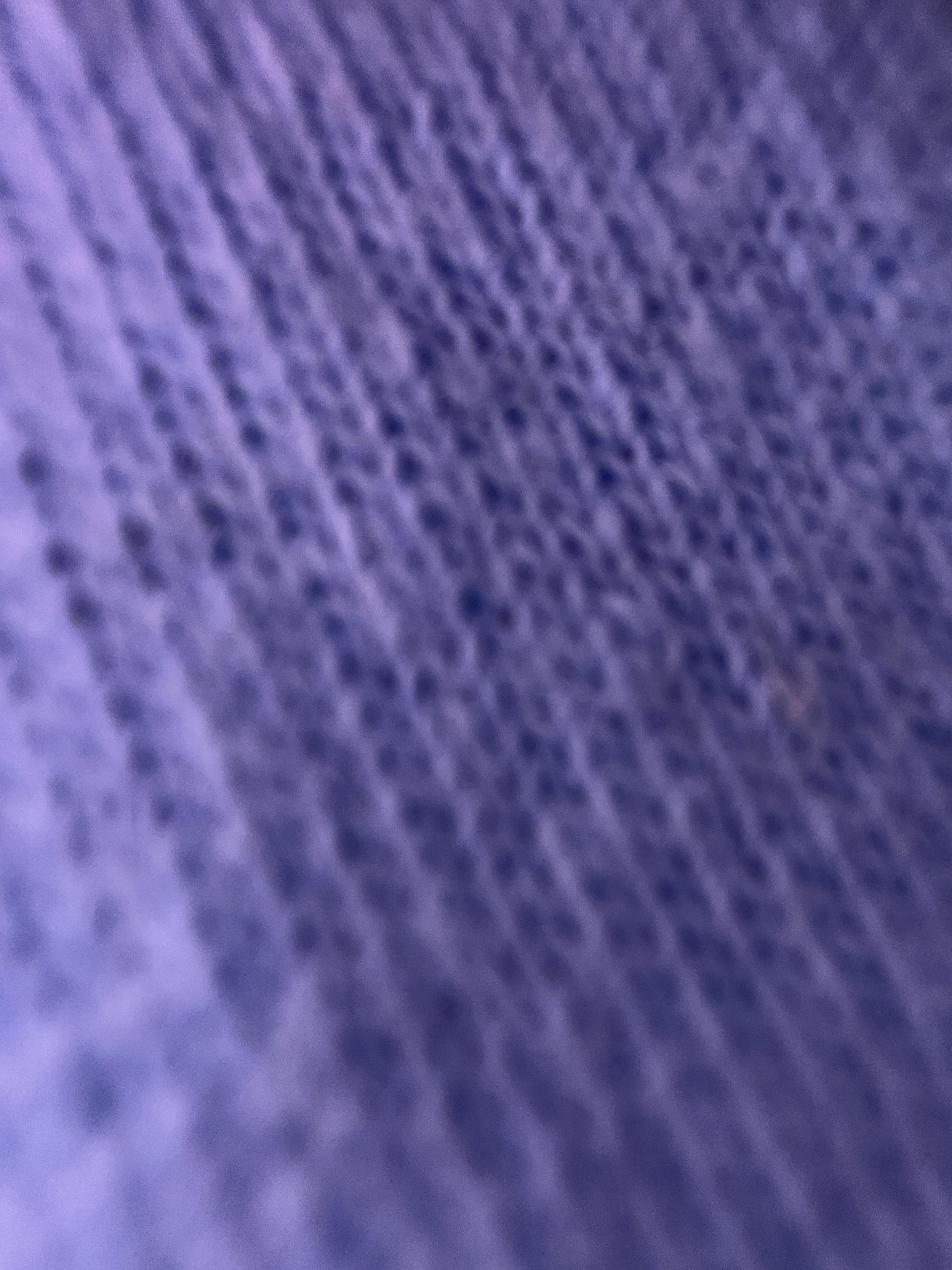 272554628