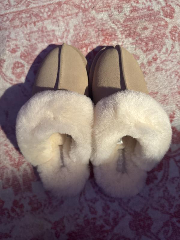 Jadyn's photo of the Scuffette II Slippers. Photo 2 of 2