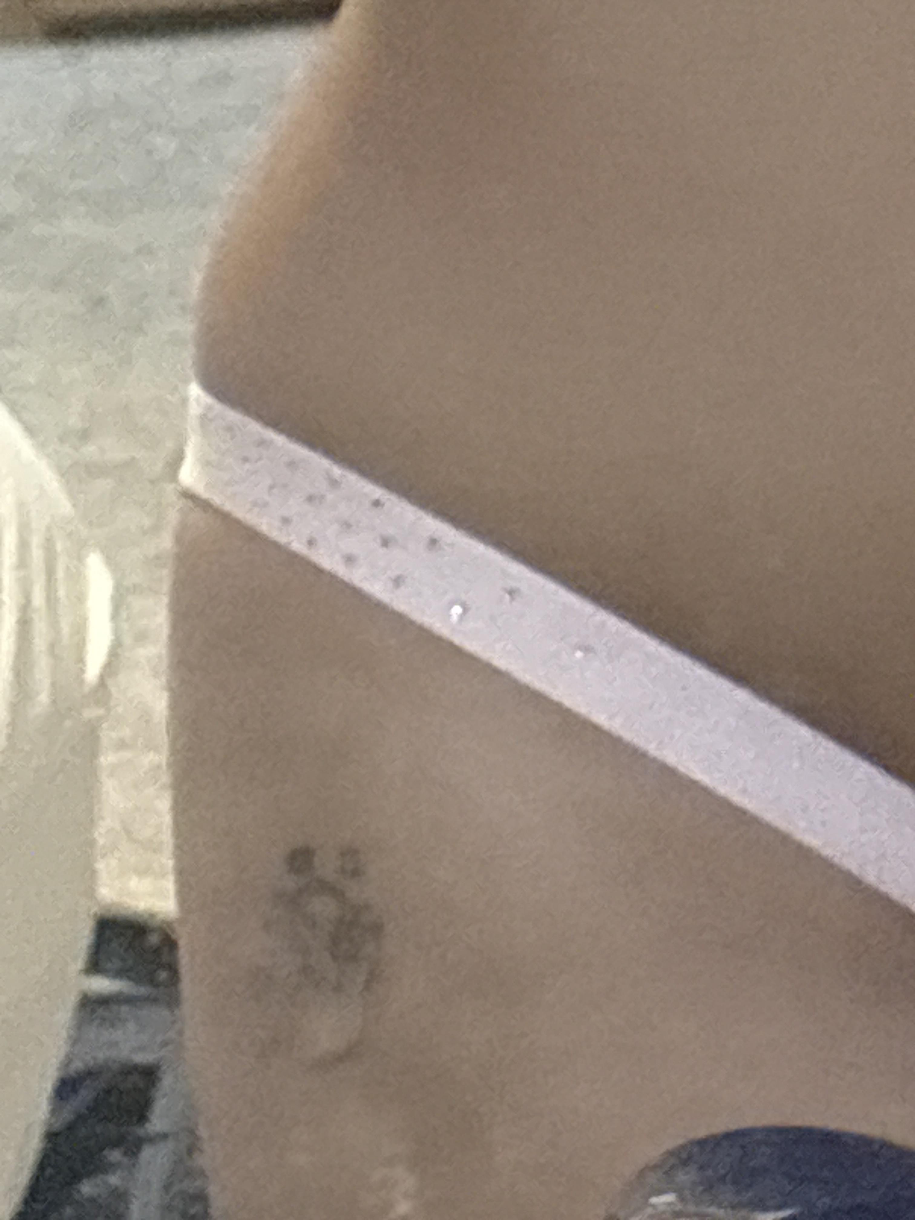 275420401