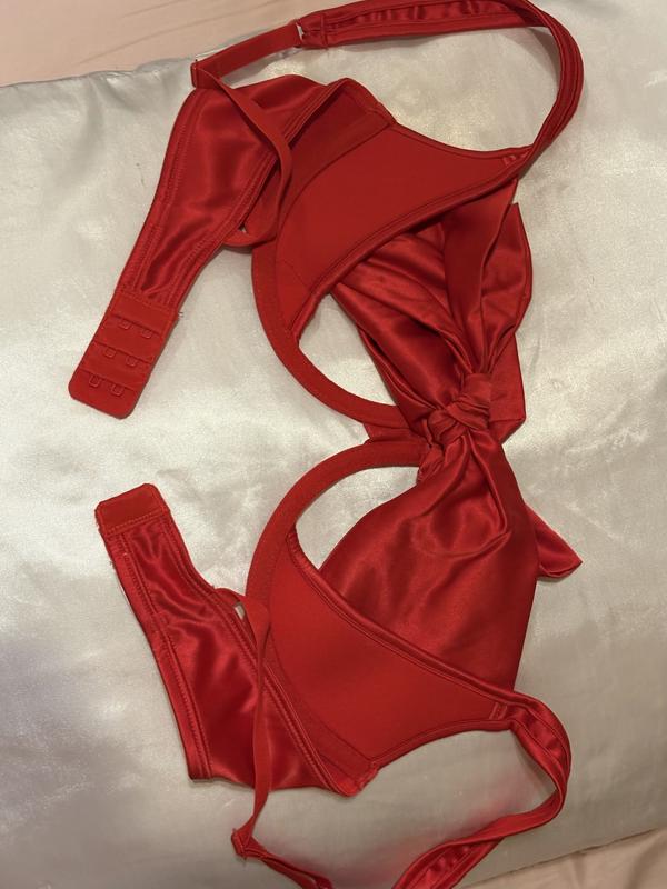 SILLIFILLI's photo of the Gynger Plunge Bra. Photo 2 of 2