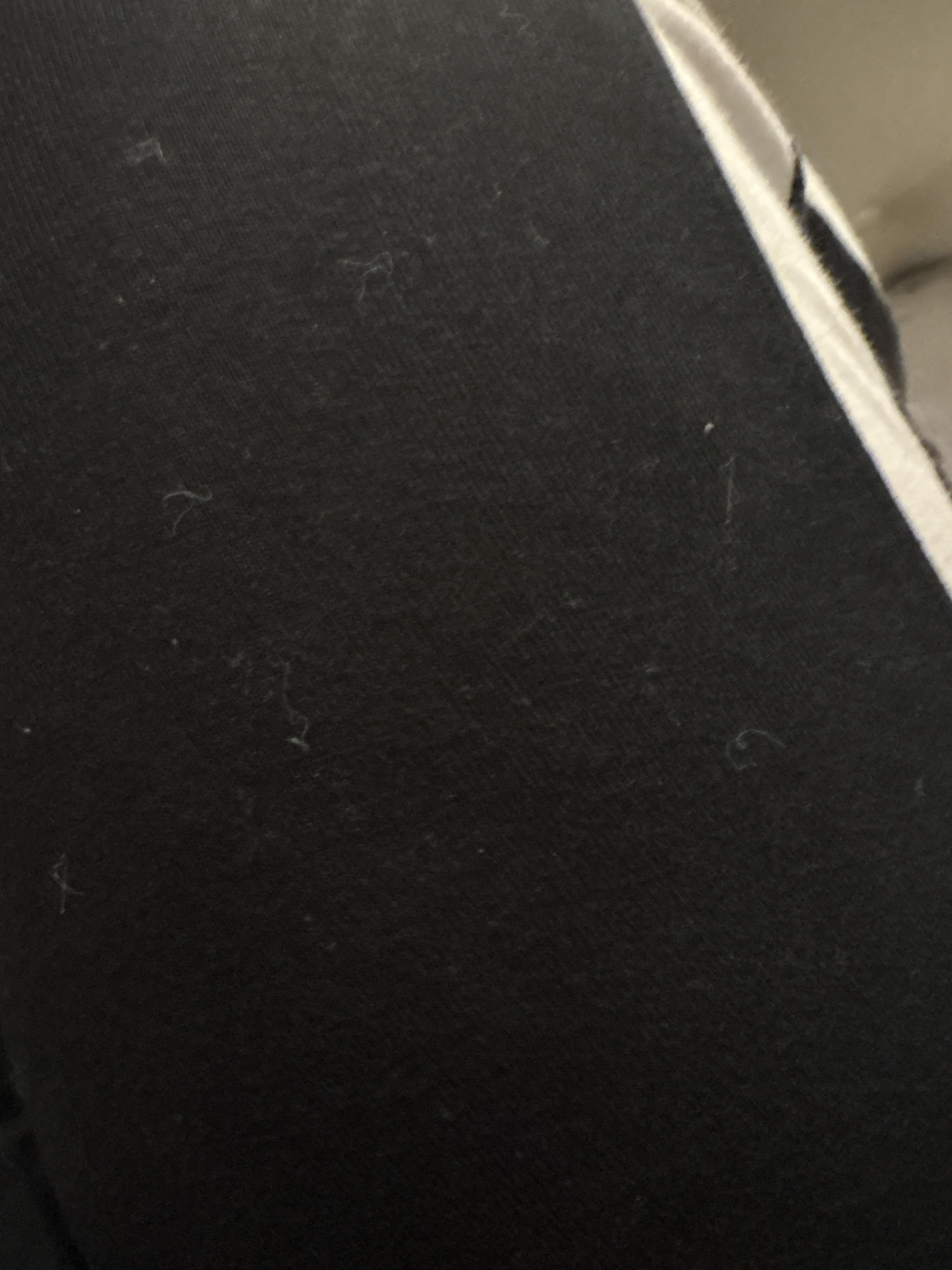 274121918