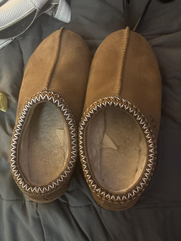 Chelsea's photo of the Tasman Slippers. Photo 1 of 2