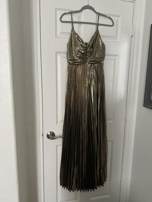 CherryCat's photo of the Naira Dress Maxi. Photo 1 of 1