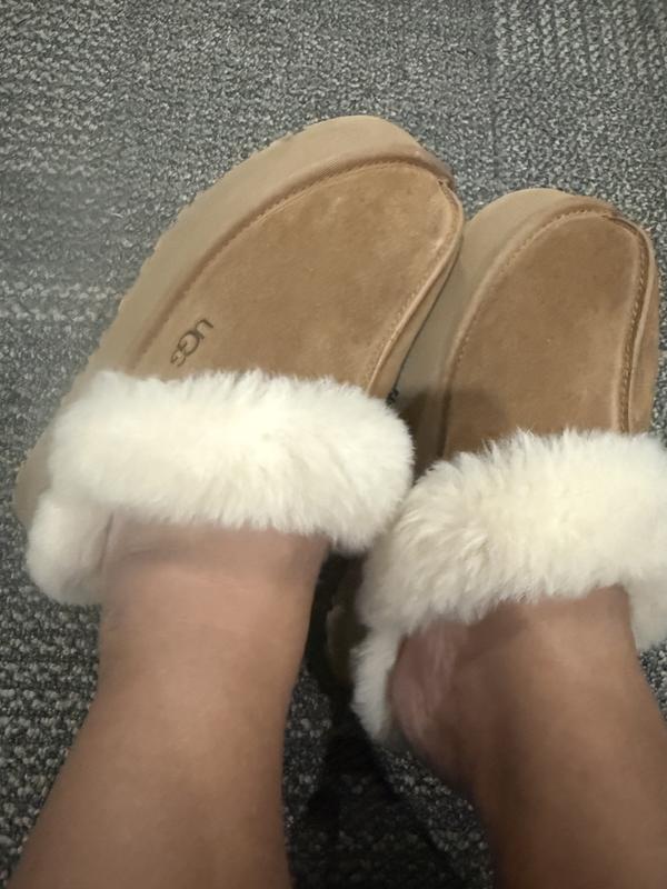 Customer photo for "Cute and comfy but not too comfortable to walk"