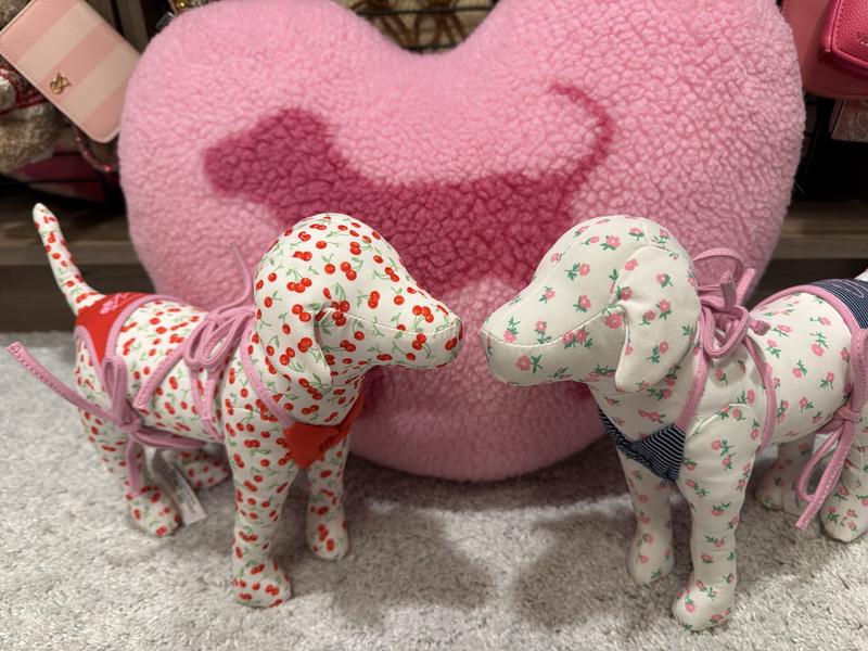Buy PINK by Frankies Bikinis Maxi Dog, Whimsy Cherries - Order