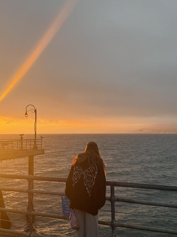 Buy Iconic Fleece Relaxed Hoodie, Washed Prettiest Pine - Order