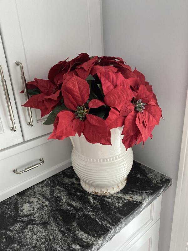 Review Thumbnail Image 0 232574917