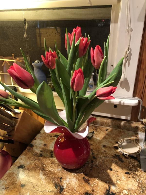 Review Thumbnail Image 0 267077164