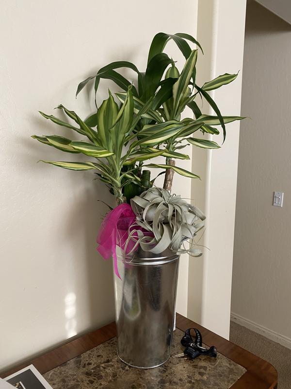 Review Thumbnail Image 0 255813061