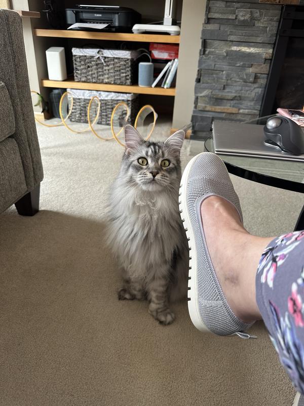 So comfy and they match my cat!!