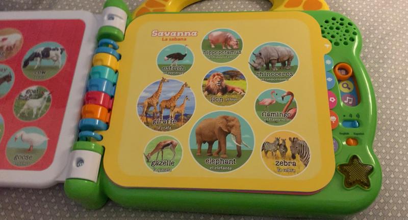 Great variety of animals