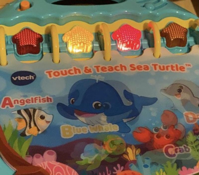  VTech Touch and Teach Sea Turtle Interactive Learning Book,  Green : Office Products