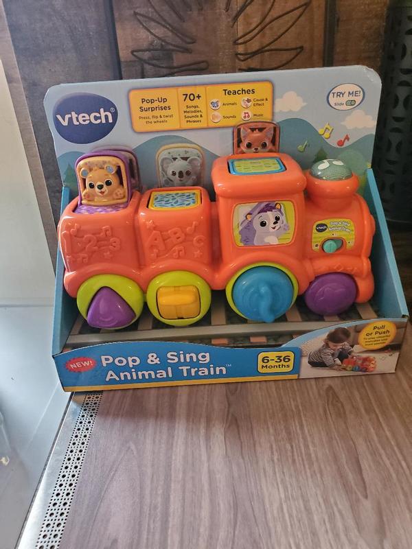 VTech Roll & Surprise Animal Train Music & Lights Pop-Up Activity Preschool  Toy
