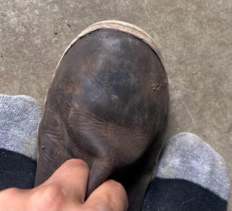 Photo submitted with review of product