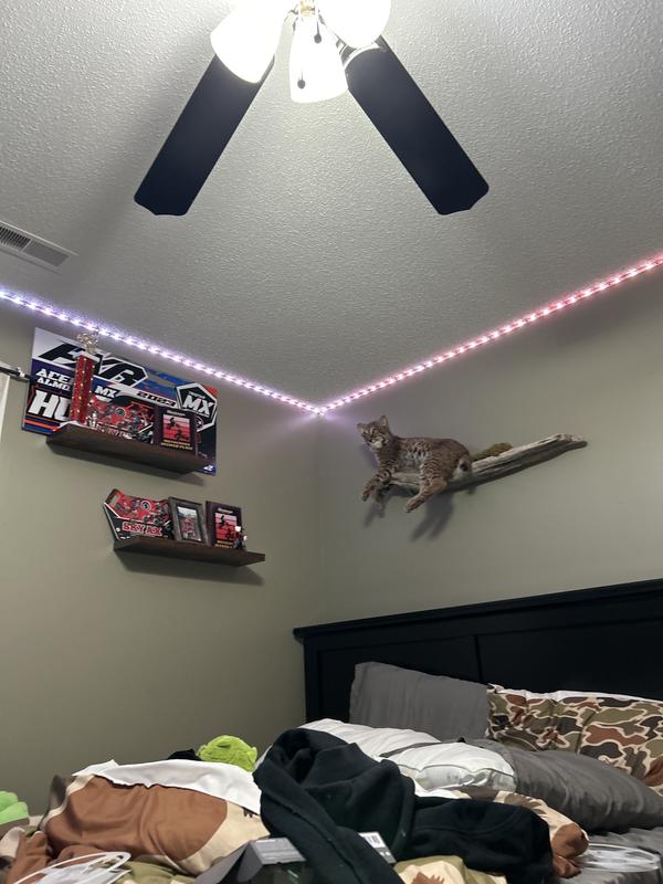 Customer carousel item 3.