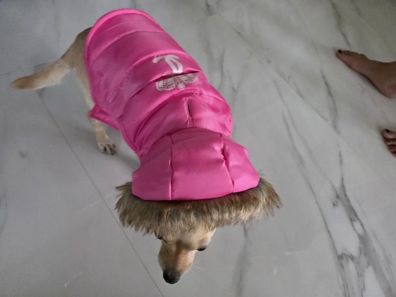 Photo from tee1501_7959