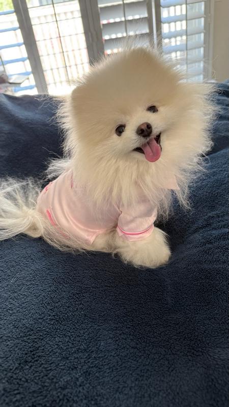 Photo from viki_k_5149