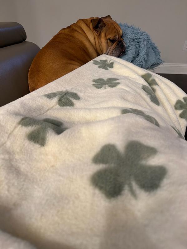 Customer carousel item 7.