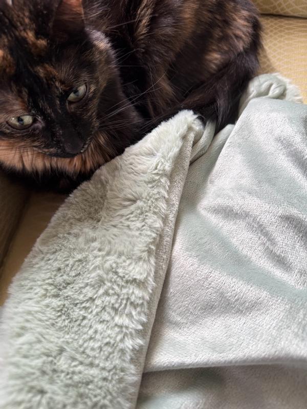 Customer carousel item 5.