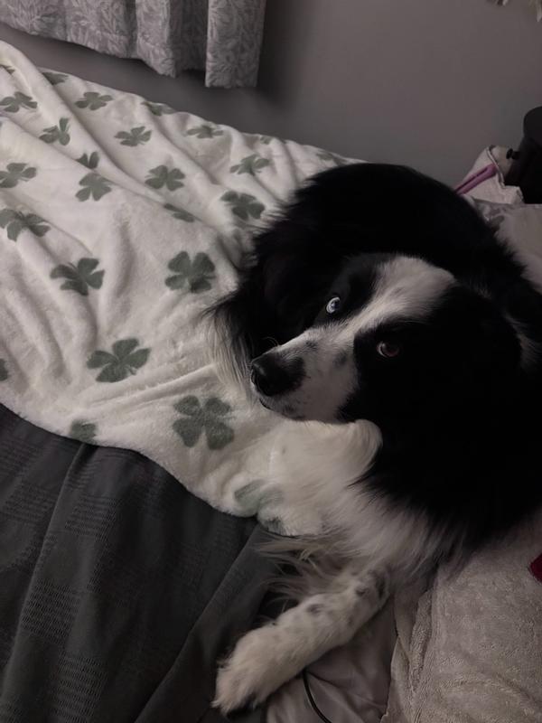 Customer carousel item 2.