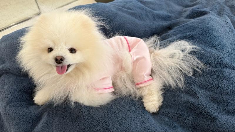 Photo from viki_k_5149