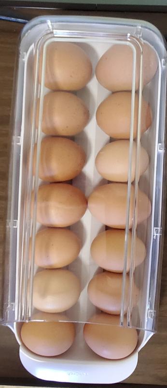 Refrigerator Egg Holder: NUEgg™, Rolling Fridge Egg Container, with  Stackable Trays