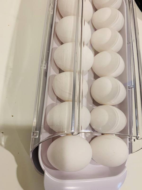 YouCopia RollDown Refrigerator Egg Dispenser