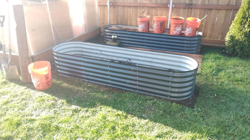 Looking good, ready to receive the bushes