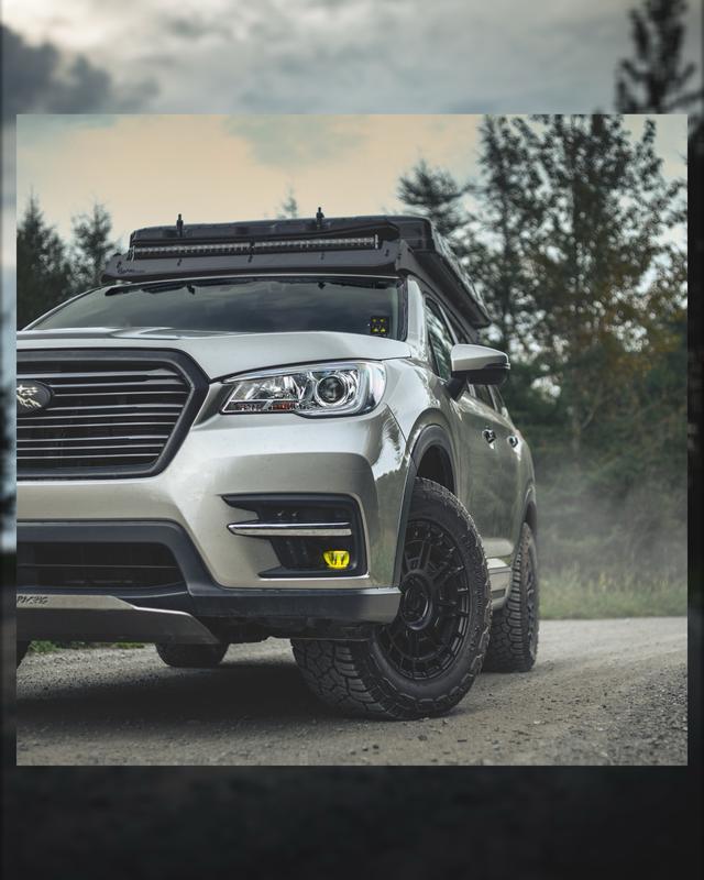 Photo - commentaire 4.