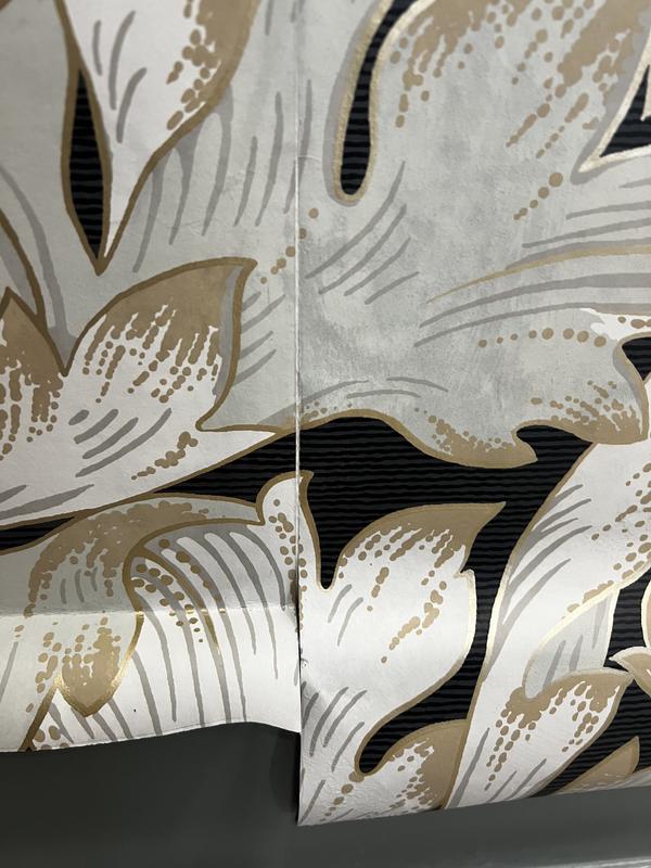 ACANTHUS x muta Hand Border Paint Tee★ NV5511 Modern Heritage Acanthus Toss Wallpaper - Beige – US
