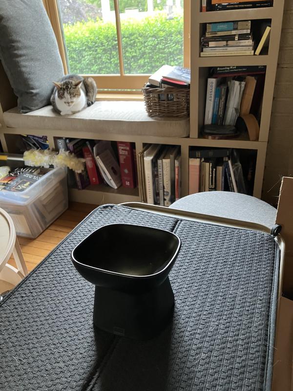 Review Thumbnail Image 0 349482844