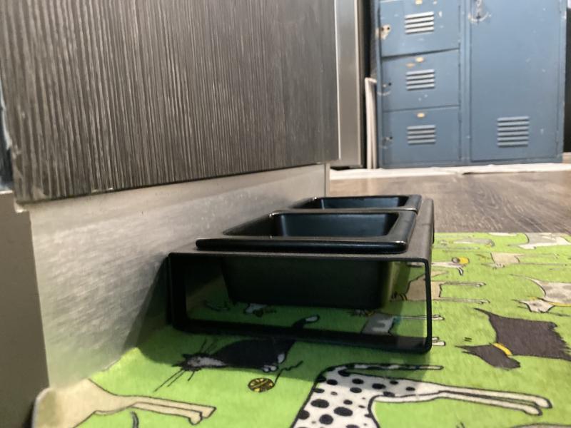 Customer photo for "Love the bowls! So sleek and minimalistic"