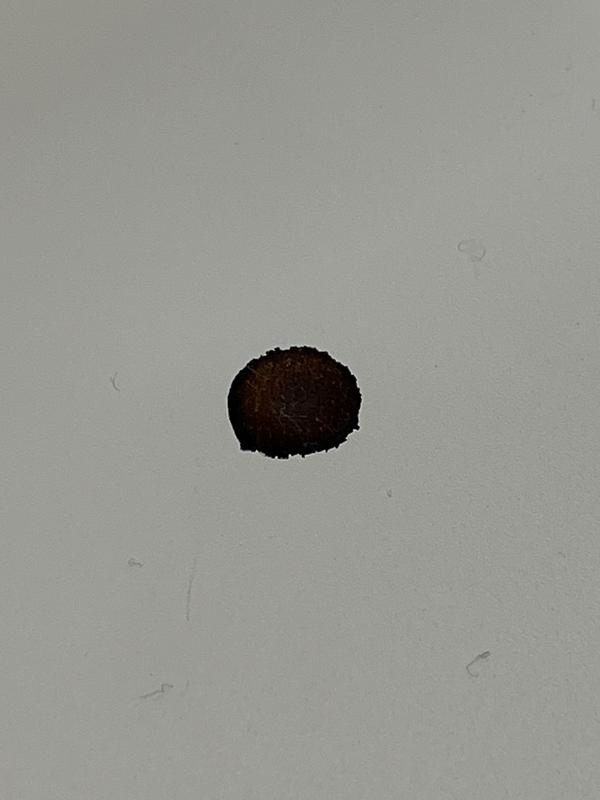Review Thumbnail Image 1 386797690