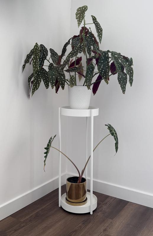 Review Thumbnail Image 0 341778075