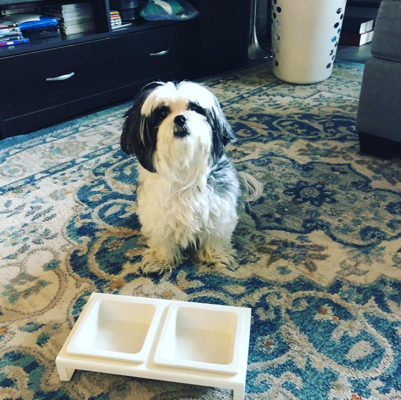 Customer photo for "my dog loves it"