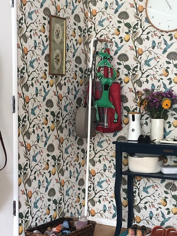 Review Thumbnail Image 0 248309584