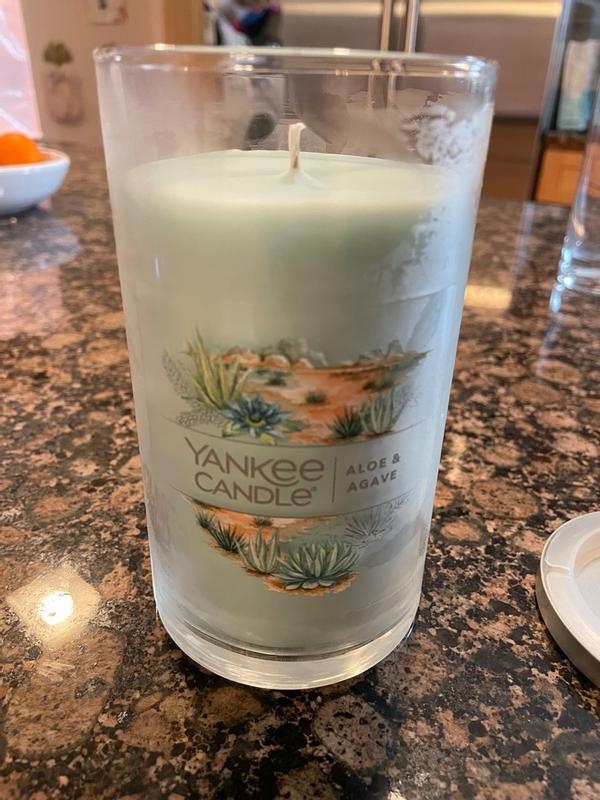 YANKEE CANDLE - Aloe & Agave - Cera Da Fondere 22 G