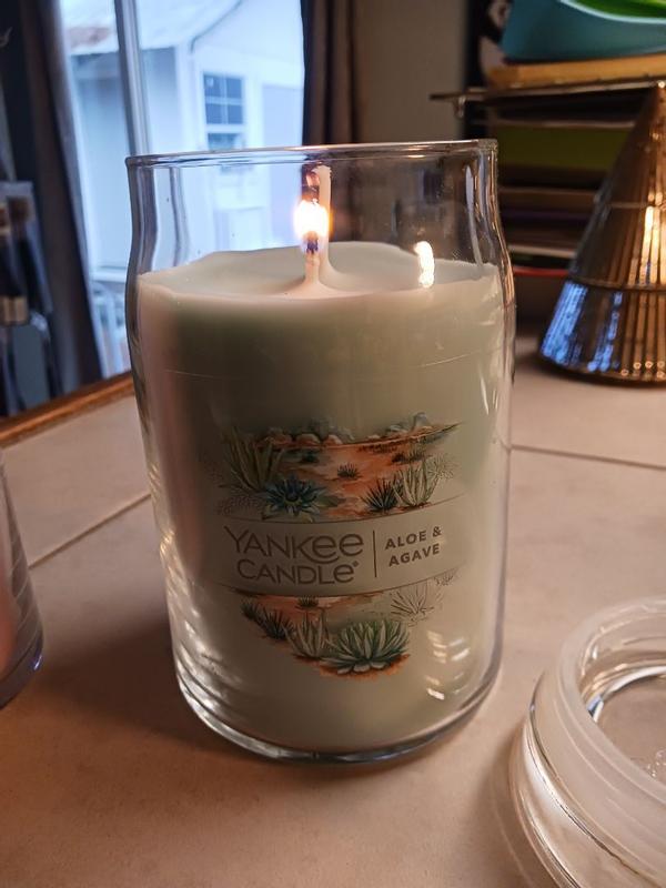 Aloe & Agave Giara Grande Signature - Yankee Candle