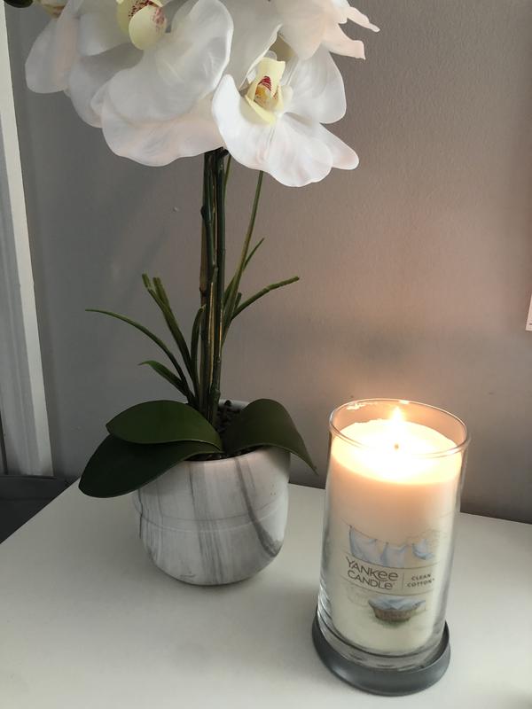 Clean Cotton Signature Medium Pillar, Scented Candles