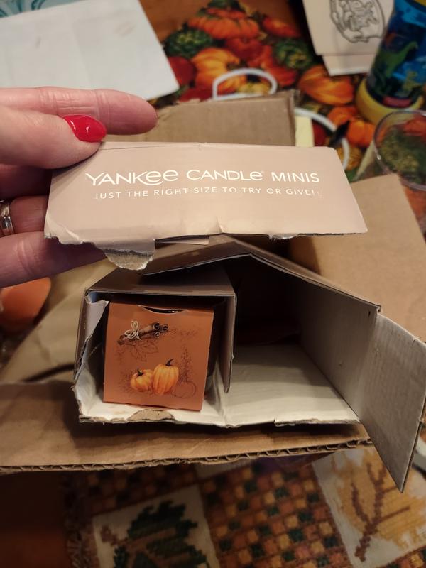 Spiced Pumpkin Yankee Candle® Minis - Yankee Candle Mini Singles
