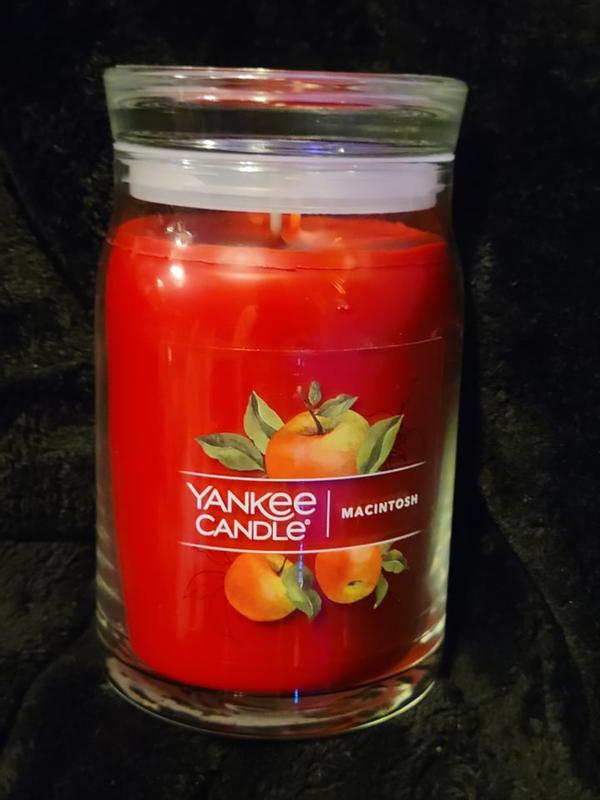 Yankee Candle Signature Candle Collection Large Jar Pink Sands, 20