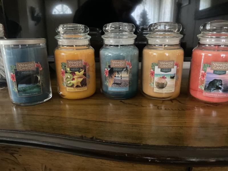 Yankee Candle Kohl's Wax Melt Reviews - Spring 2022