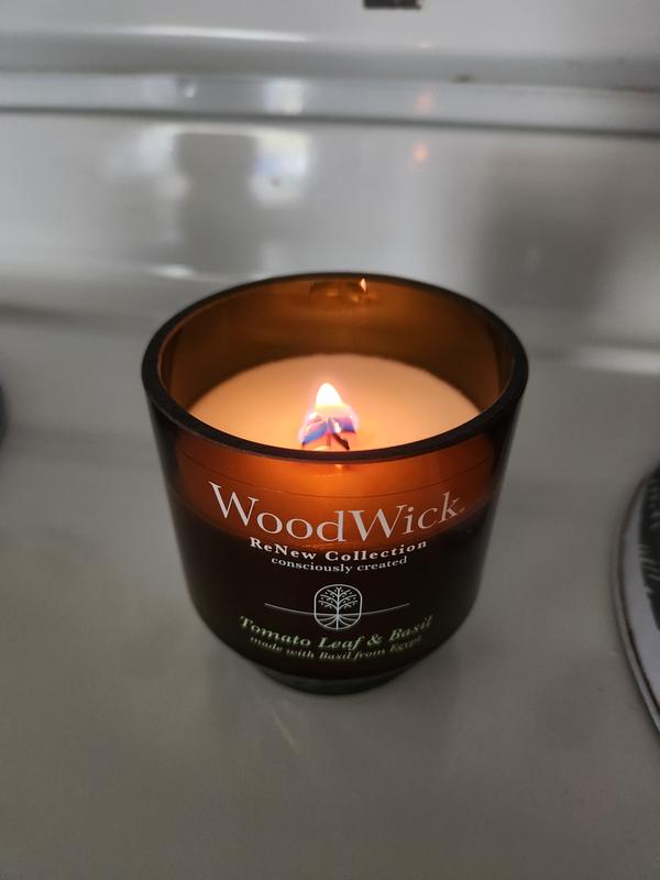 Tomato Leaf & Basil WoodWick® Medium ReNew Candle - Medium ReNew