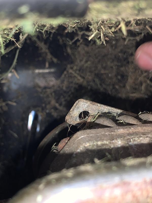 It finally let me add the pictures