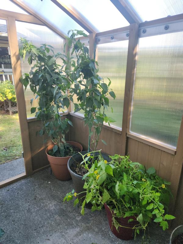 8 x 9.7 Greenhouse