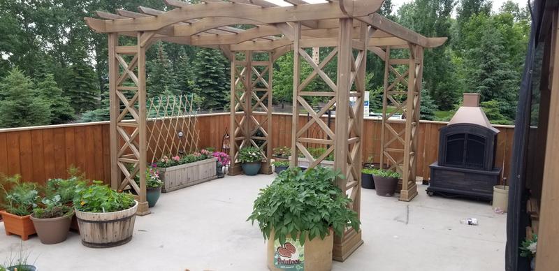 My garden pergola
