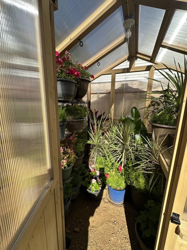 6.7' x 6' Meridian Greenhouse