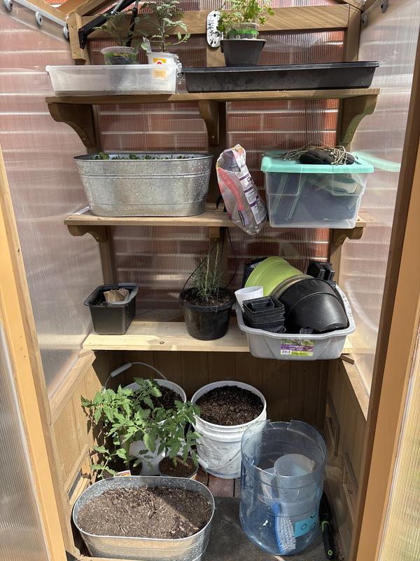 Urban Greenhouse