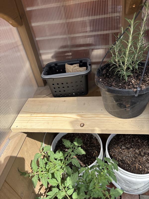 Urban Greenhouse