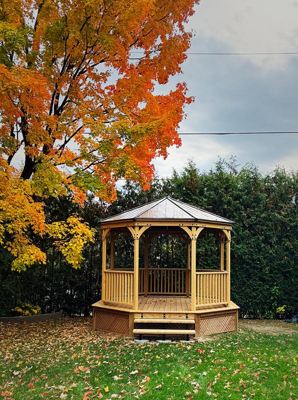 Great addition to my backyard